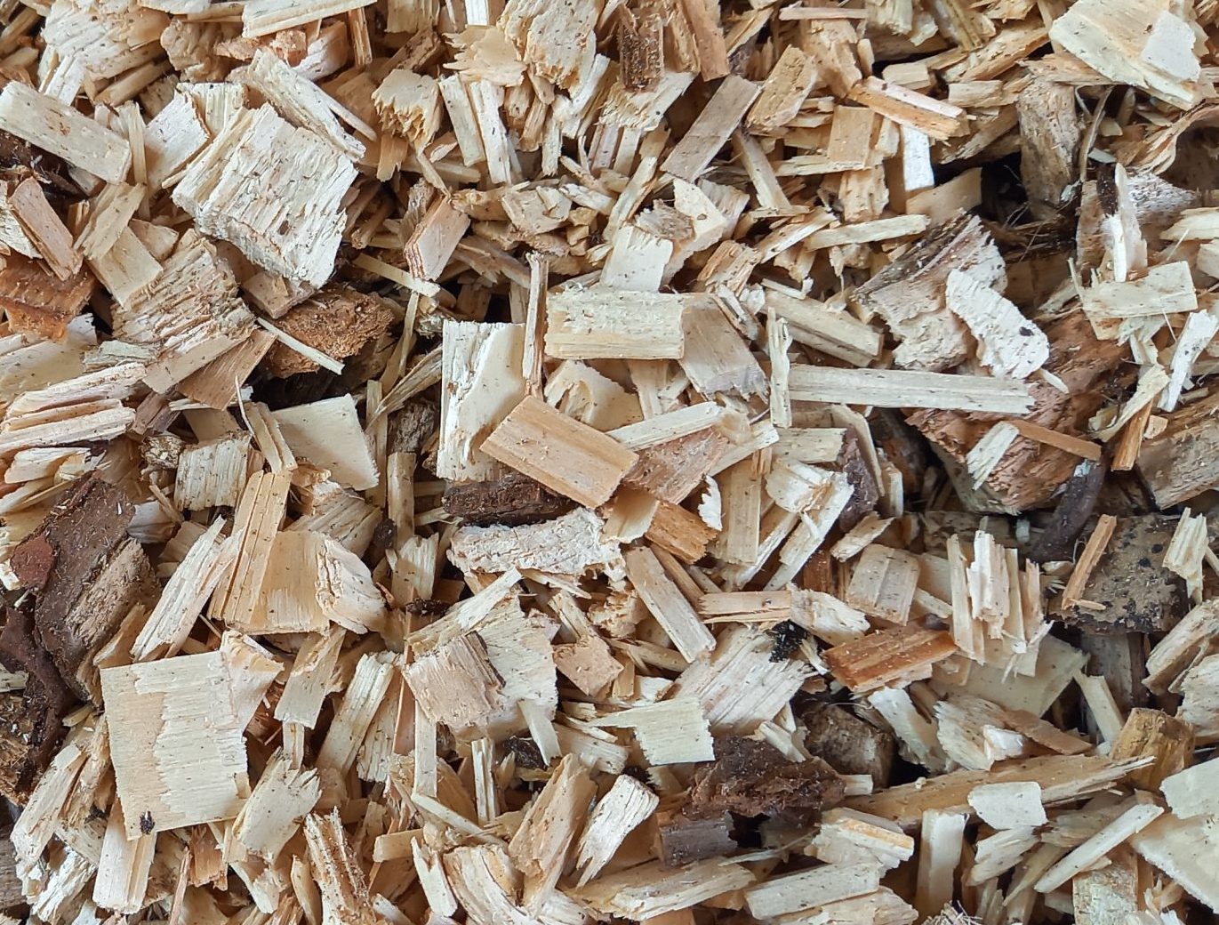 cropped-20201105_124457-1-scaled-4.jpg